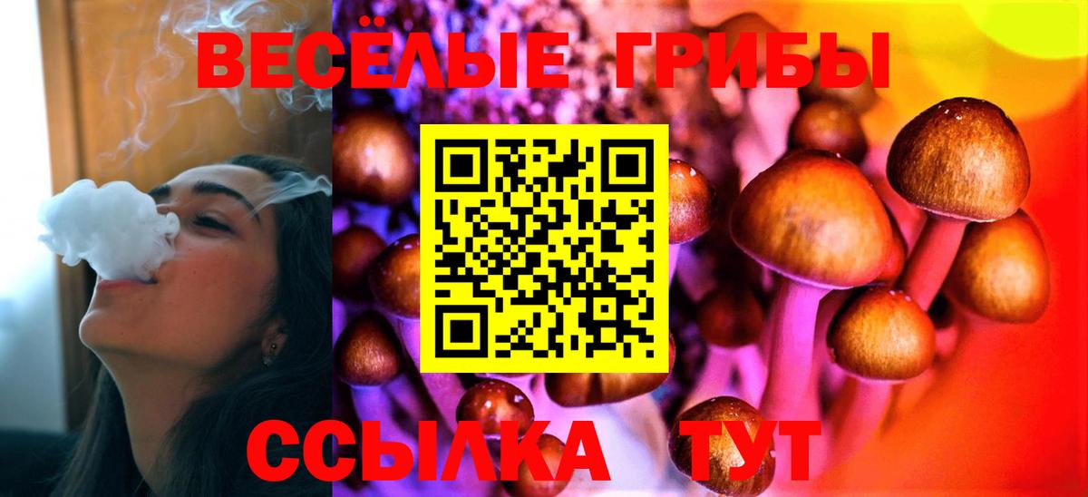 хочу   Галлюциногенные грибы мицелий  Вход с VPN  Псилоцибиновые грибы Psilocybe  Уфа 