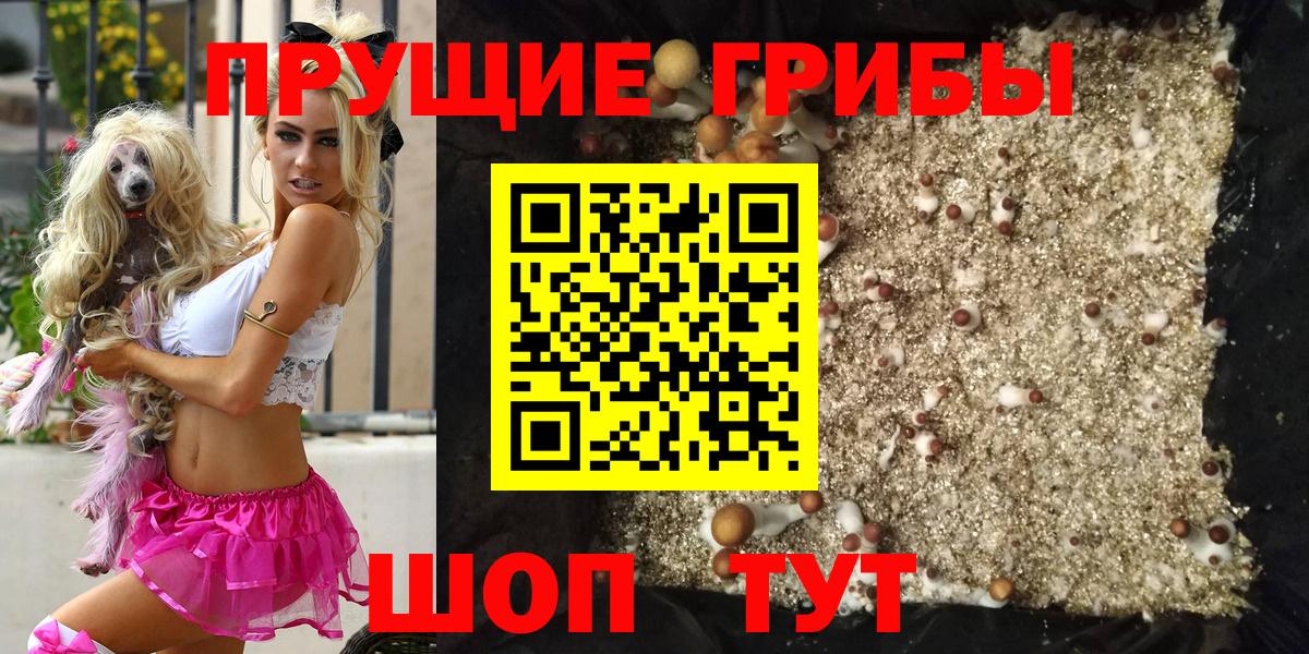 Галлюциногенные грибы GOLDEN TEACHER  Уфа  Галлюциногенные грибы Psilocybe 